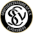 SV Elversberg table logo