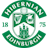 Hibernian table logo
